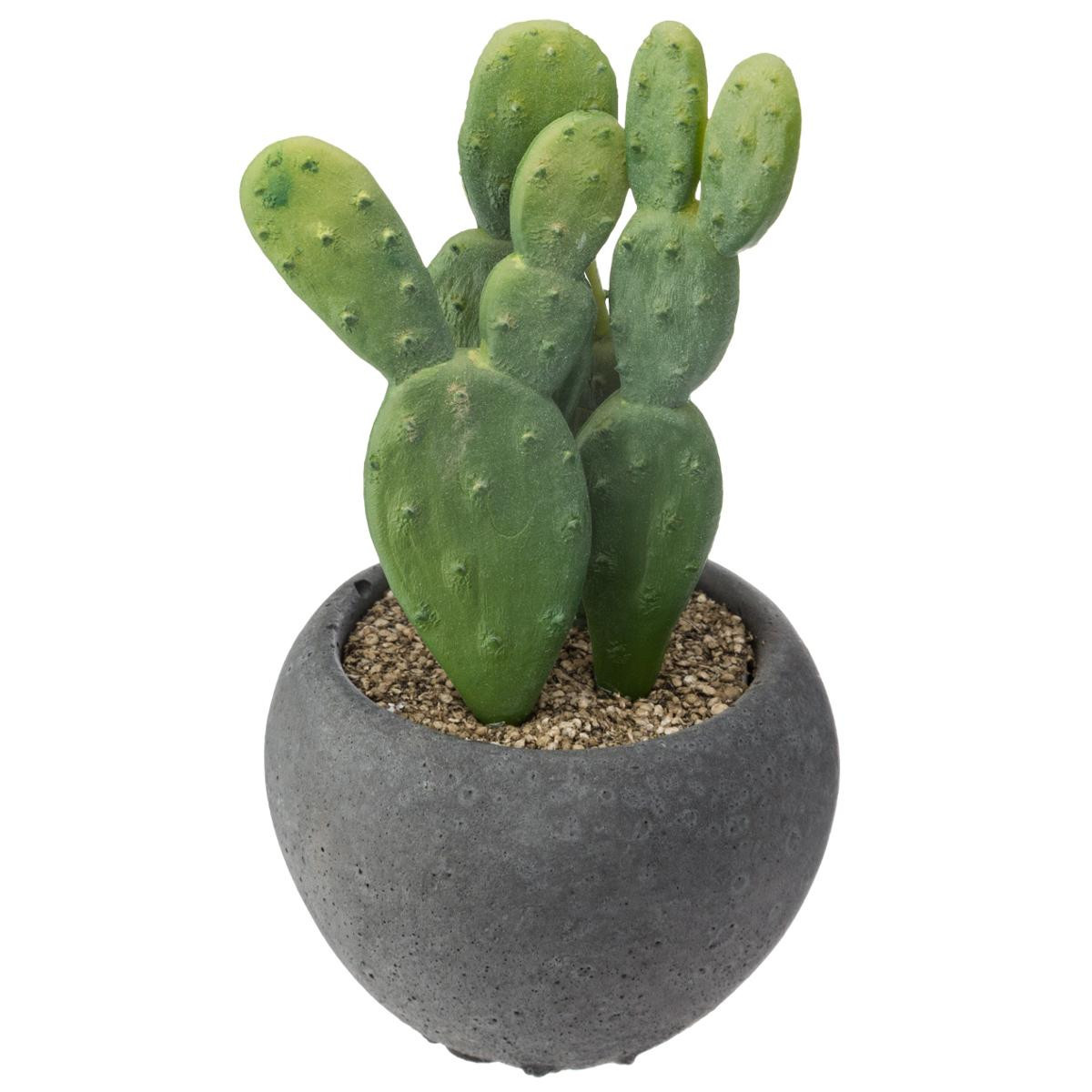 Atmosphera Cactus dans Son Pot H 60 cm