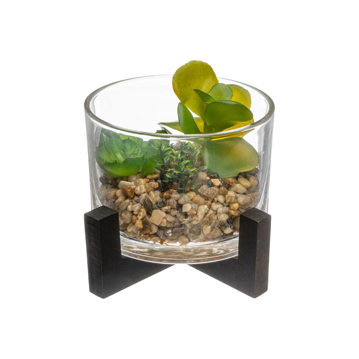 Plante avec support en bois, pot de fleurs en verre, support