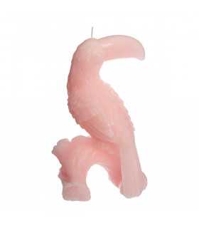 Bougie décorative Toucan 285 G Jungle pop