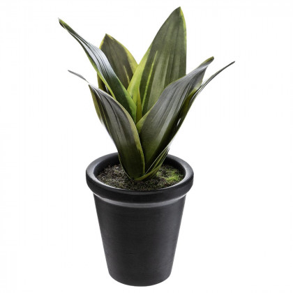 Plante artificielle Tigridia dans un Pot noir H 20 cm