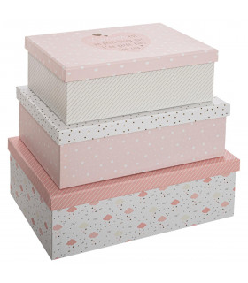 Lot de 3 Boites de rangement décor Rose avec messages sur le couvercles