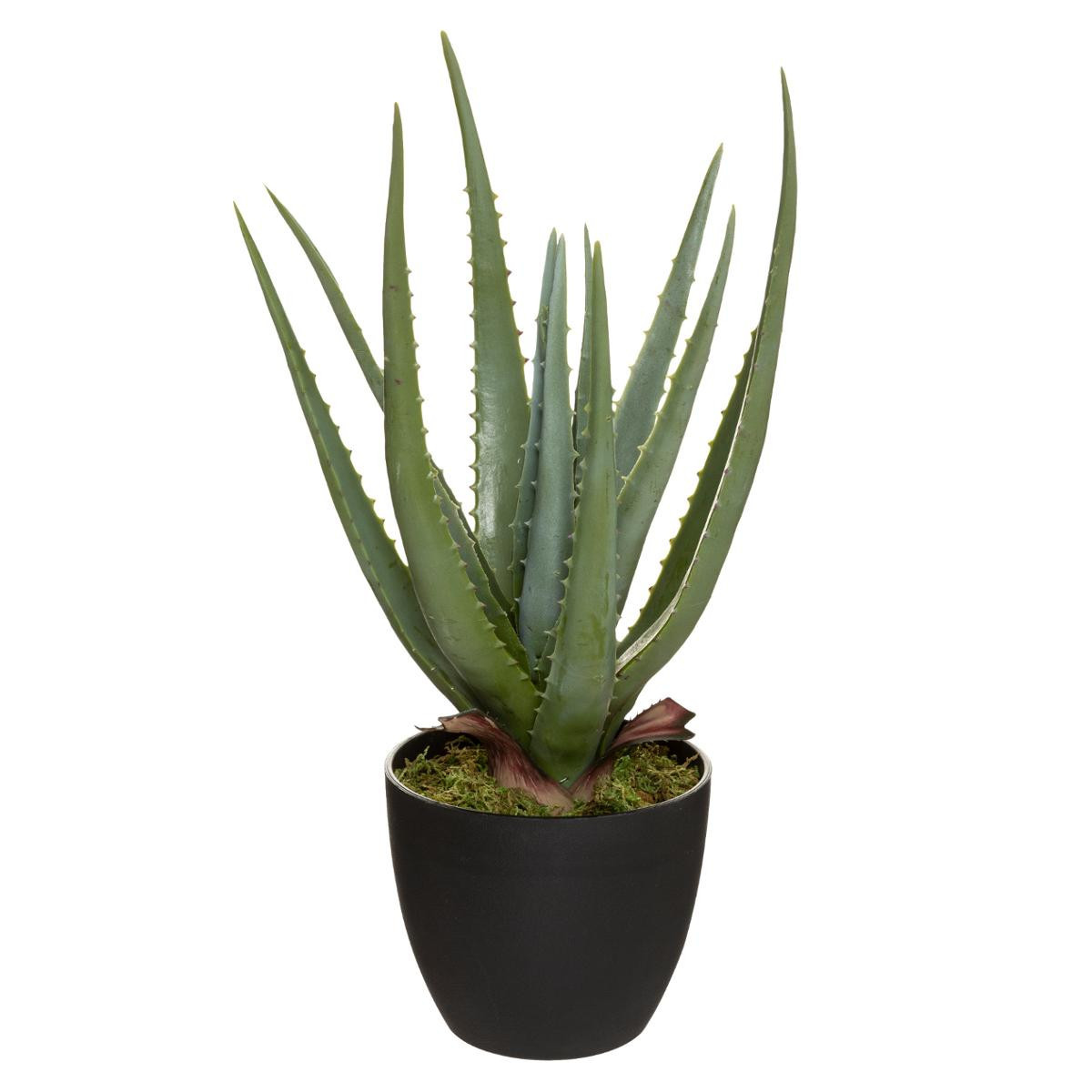 Plante artificielle Aloe vera dans un pot H 44 cm - Fleurs et plantes  artificielles - Décomania