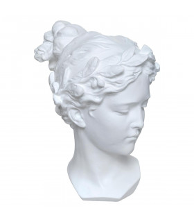 Tête de Vénus en Résine Blanche H 26 cm
