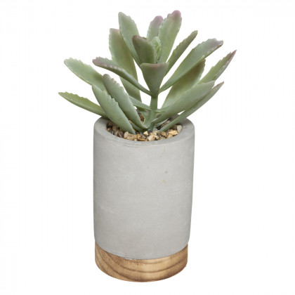 Plante artificielle Pot en ciment et bambou H 20 cm