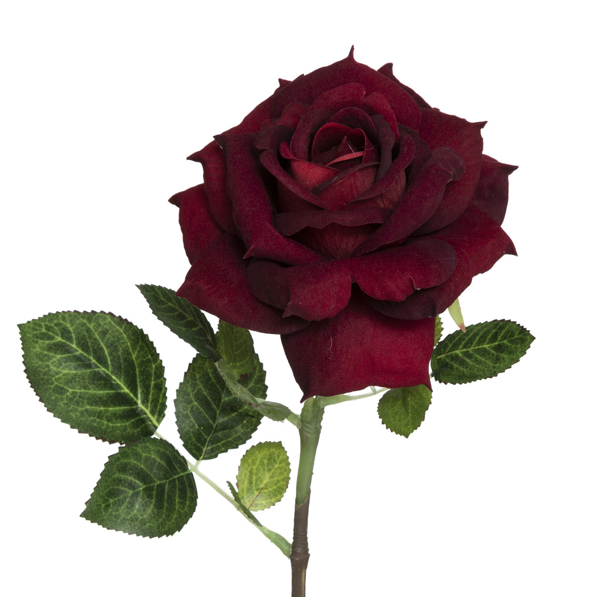 Fleur artificielle Tige de Rose velours H 83 cm - Fleurs et plantes  artificielles - Décomania