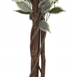 Ficus artificiel en pot H 180 cm