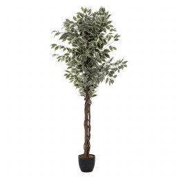 Ficus artificiel en pot H 180 cm