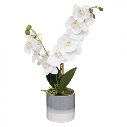 Orchidée artificielle Pot en céramique H 45 cm