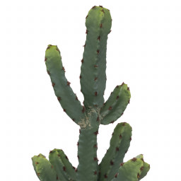 Cactus artificiel dans Pot en Terre cuite H 49 cm