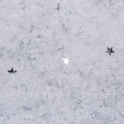 Neige en Copeaux Blanc avec étoiles 150 g