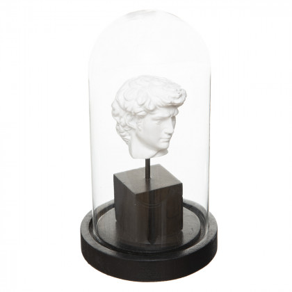 Statuette tête de David en résine sous cloche en verre H 21 cm