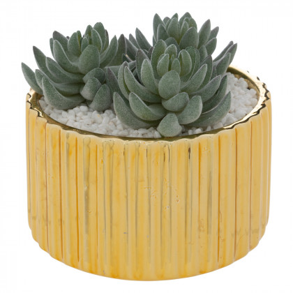 Plantes grasses artificielles dans Pot en Céramique dorée D 14 cm