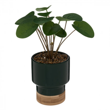 Plante artificielle dans Pot en Céramqiue Vert foncé H 26 cm