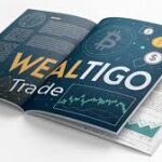 Wealtigo Trade 2026: Arnaque ou Opportunité ? Révélations Clés
